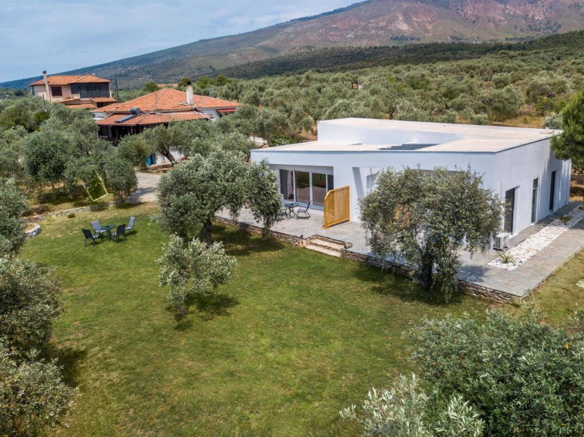 Avgoustidis Apartments Limenária Kültér fotó