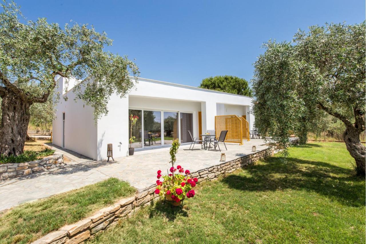 Avgoustidis Apartments Limenária Kültér fotó